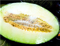 تصویر کلمه